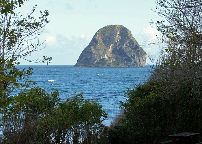 Divaloc - image landscape5